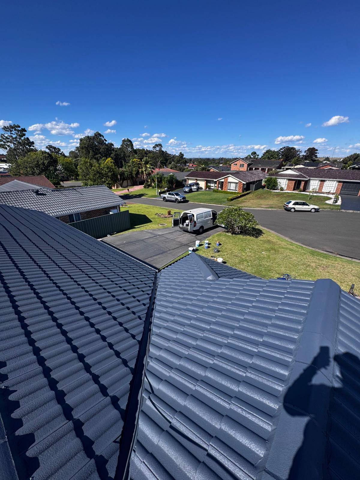 Roof painting detail