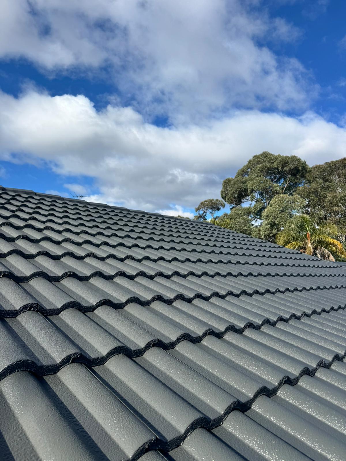 Roof painting in Sydney